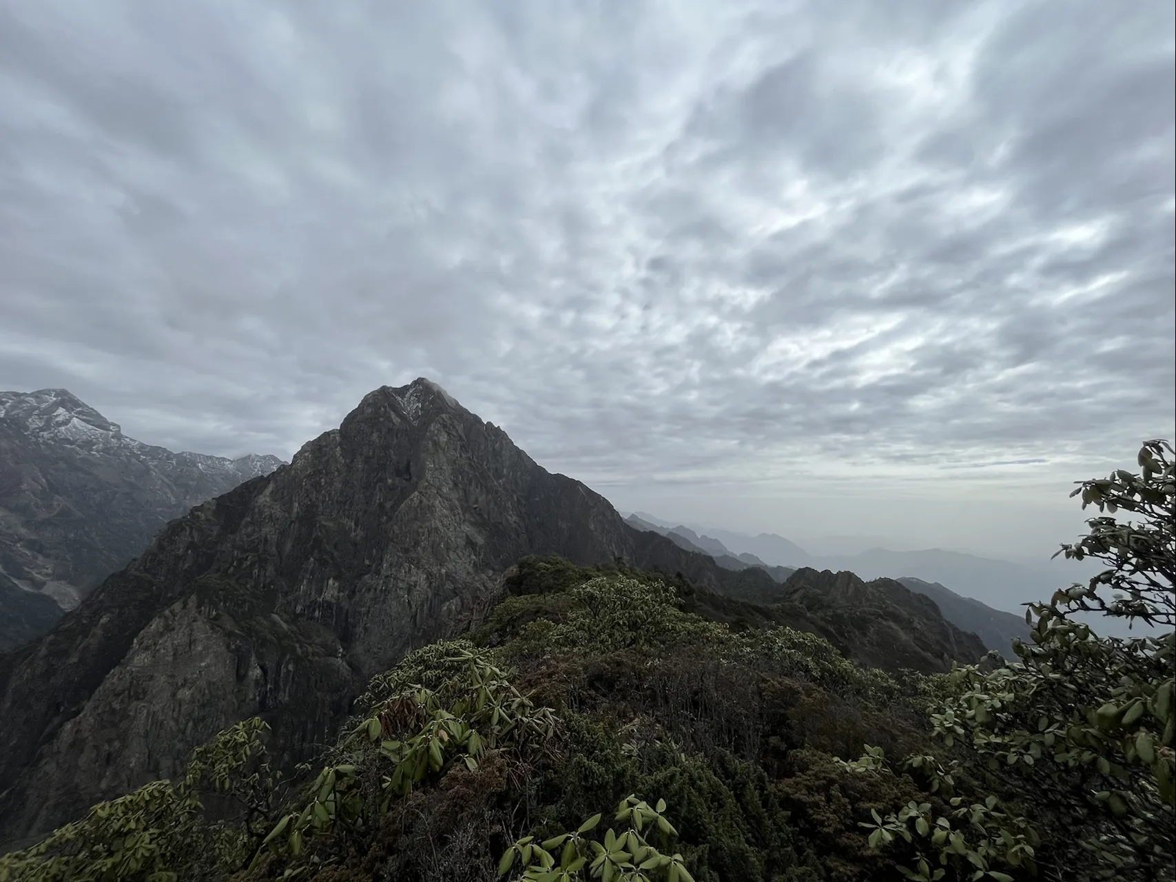 阴天下远眺青龙峰，杜鹃丛后是尖耸的峰体