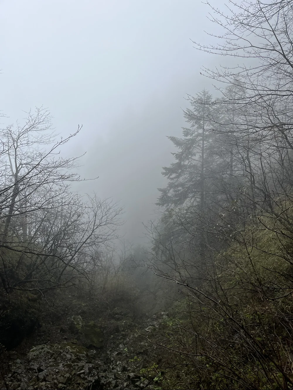 青龙峰：一场孤独的自我修行