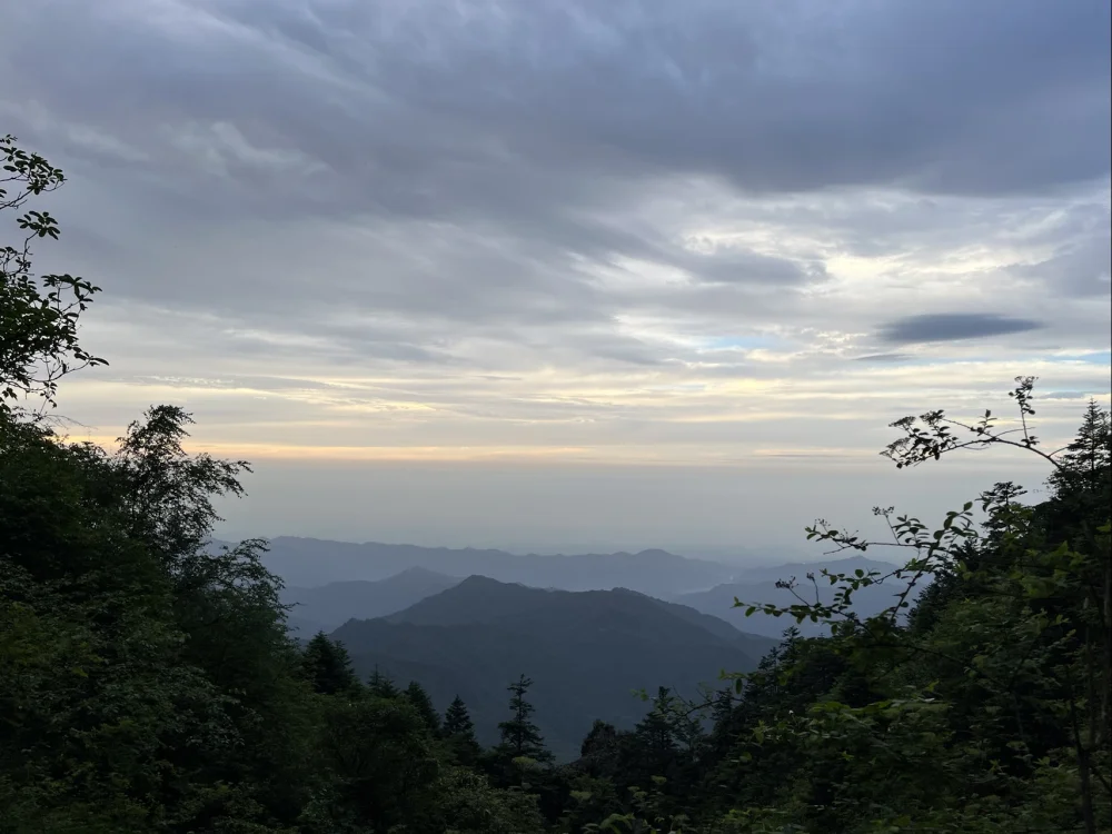 第三次登山途中的山路景色