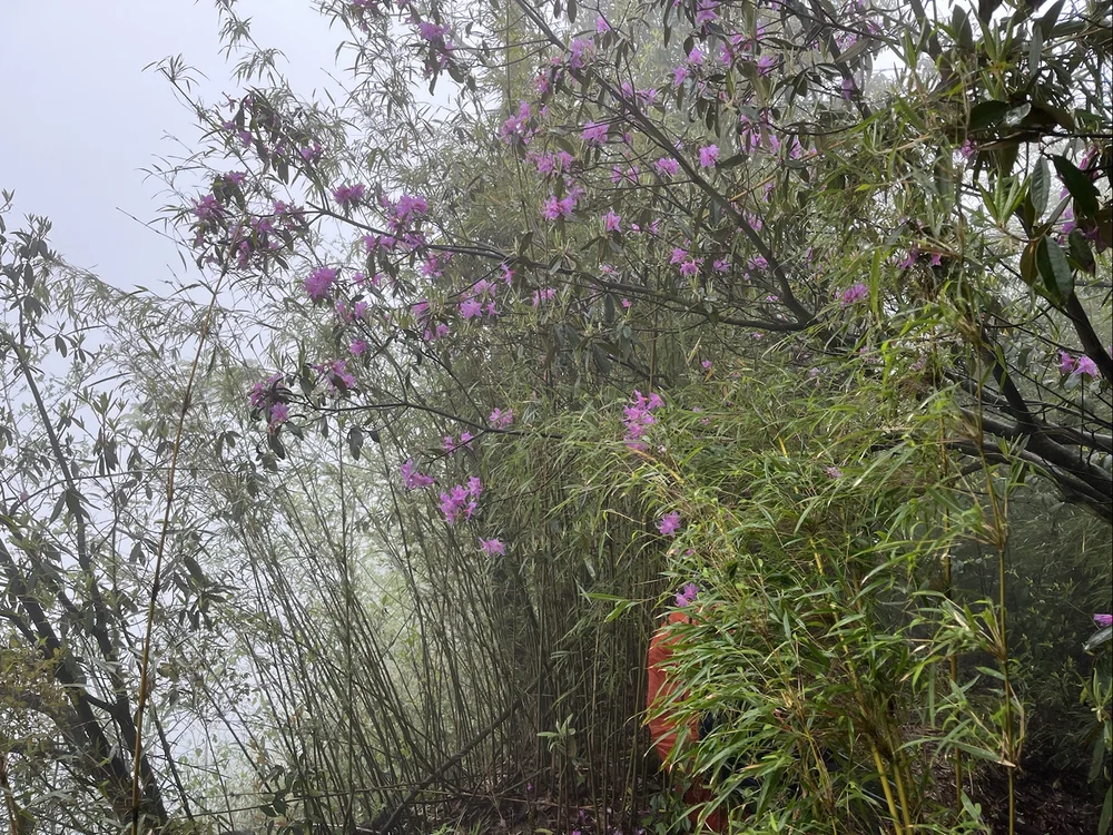 青龙峰：一场孤独的自我修行