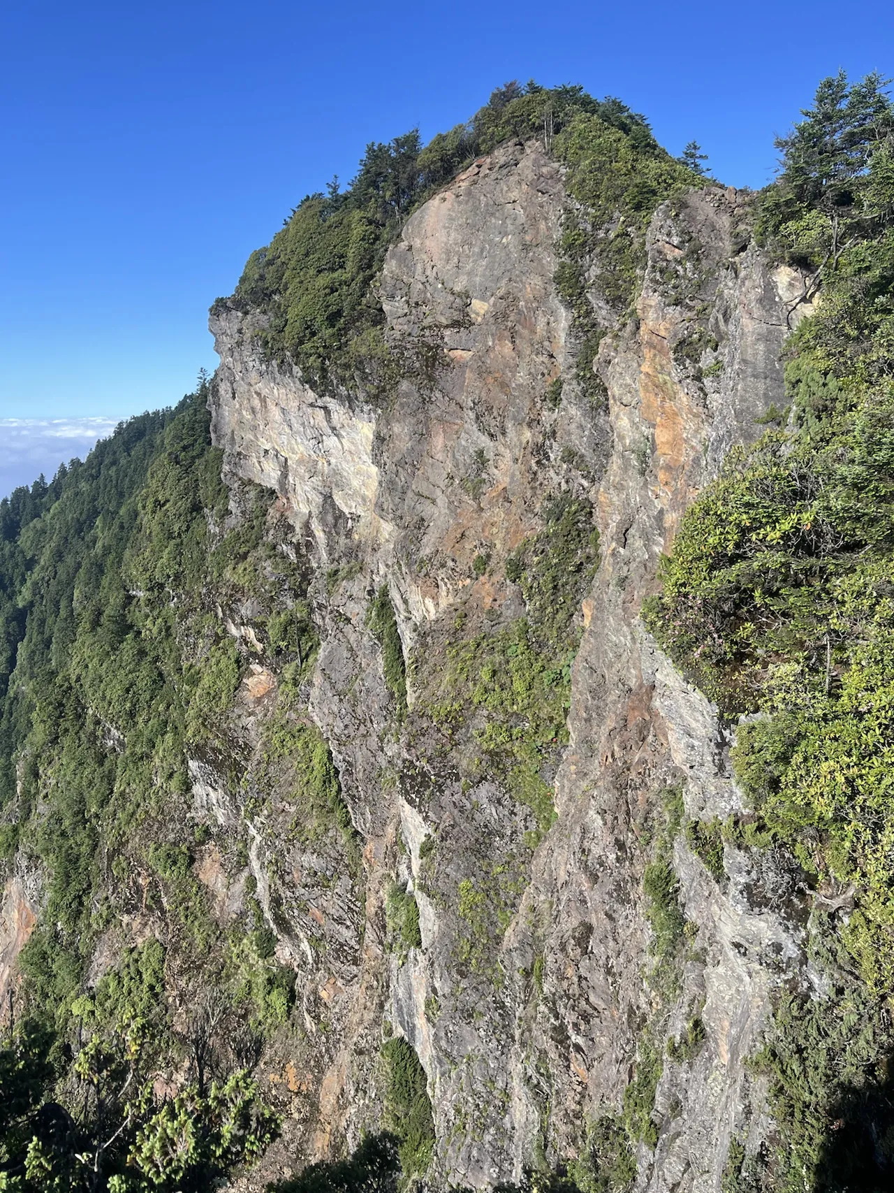 晴空下的朱雀峰崖壁，峰顶覆林，俗称一把伞