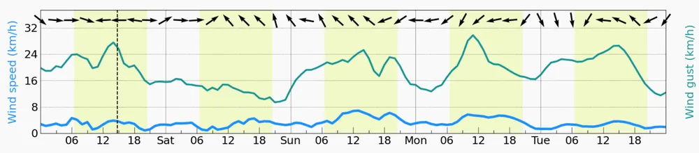 Meteoblue风向、平均风和阵风示意图