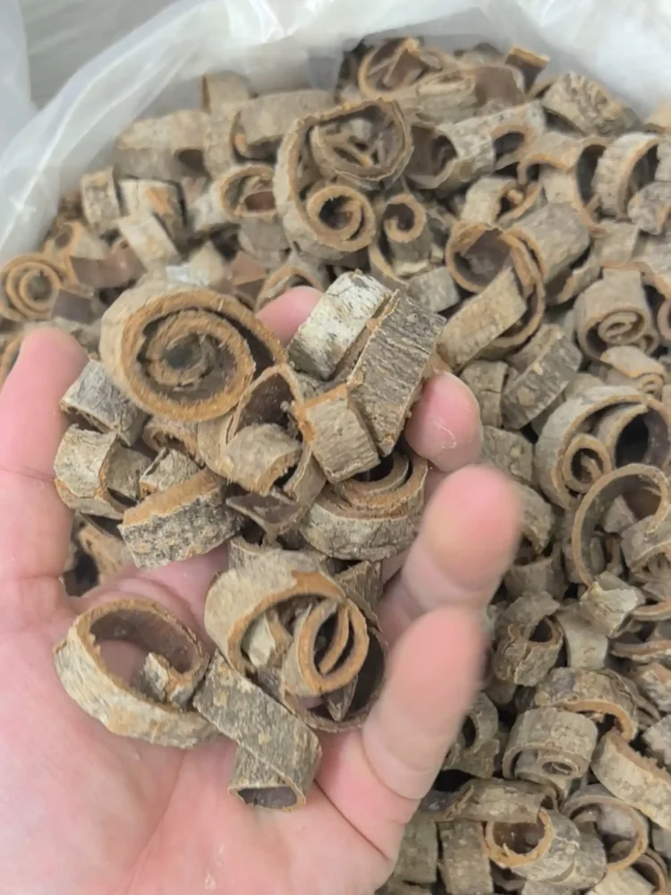 厚朴
