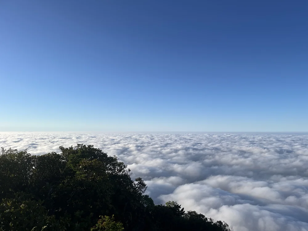 单人重装穿越双树顶-朱雀峰