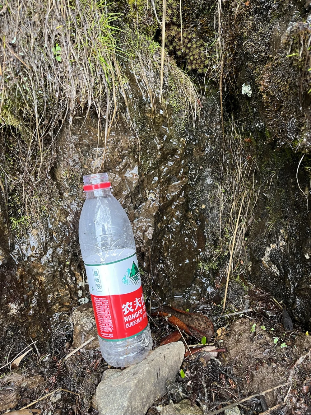青龙峰山脚下的水源地